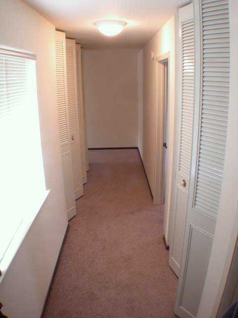 Two spacious hallway closets