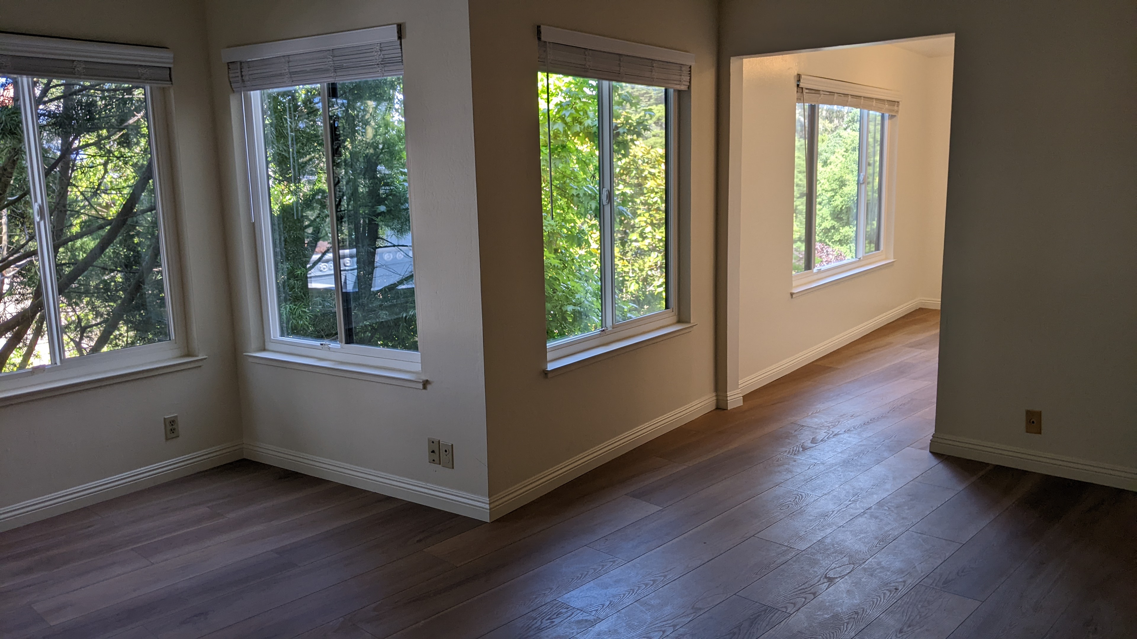 Living room and kitchen