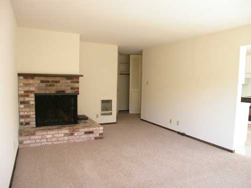Living room with fireplace and hallway closet