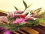 Link to Yelp Page for Balboa Green Garden Florist